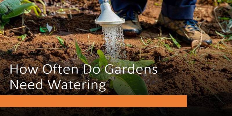 How Often Do Gardens Need Watering