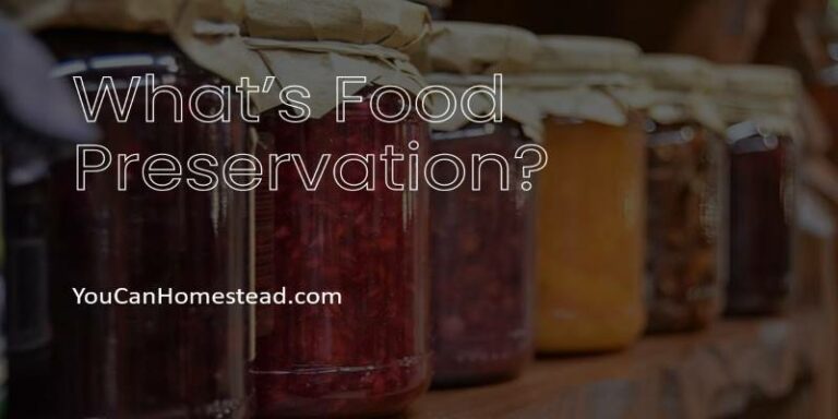 What's Food Preservation