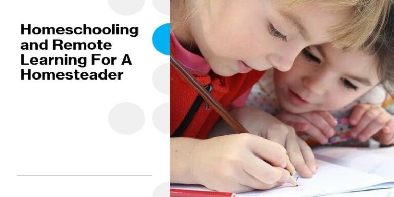 homeschooling remote learning homesteader