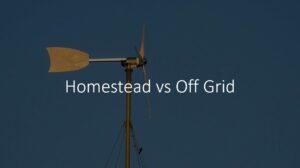 homestead vs off grid