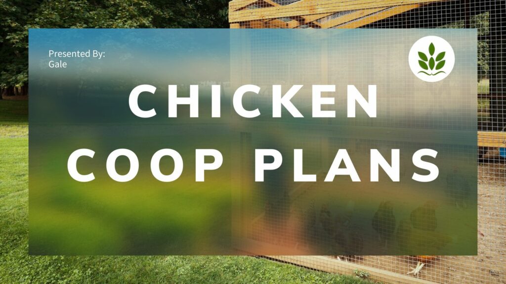 chicken coop plans